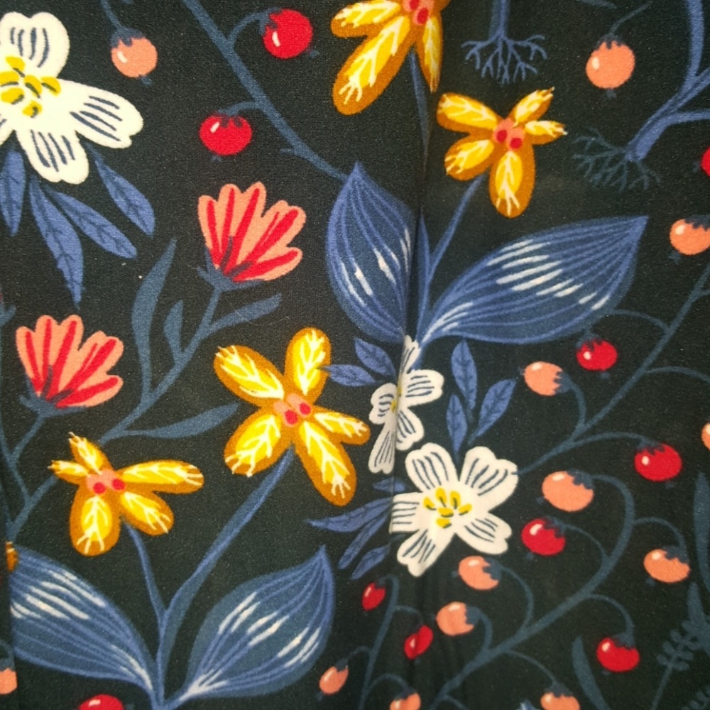Agnes Dora Sweet and Wild Leggings NWT Berries S M